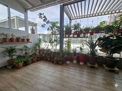 West Coast Drive (D5), Terrace #542945711